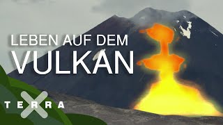 Hawaii Darum Sind Die Trauminseln Dem Tod Geweiht