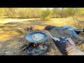 Caza y Cocina: PALOMAS al DISCO|| Caceria con RIFLE de DIABOLOS