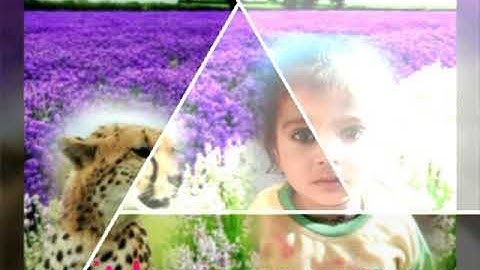 Amit kumar verma video