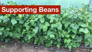 A Better Way to Support Beans