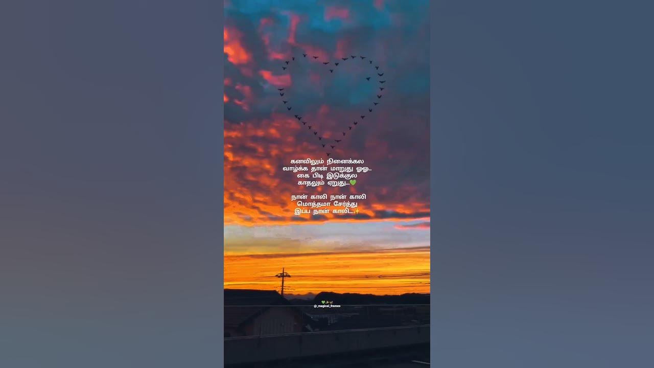 Naan Gaali Song Lyrics Good Night WhatsApp Status Tamil Magical