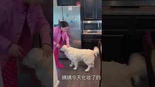 #日常vlog #vlog生活 #北美 #vlog #美国 #美国生活 #北美 #美国生活 #北美生活 #美国生活vlog #美国日常vlog #日常vlog #北美华人 #productive