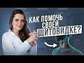 Заболевания щитовидной железы, методы лечения и профилактики! Как поддержать свое здоровье?