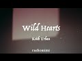 Keith Urban - Wild Hearts(Lyrics)