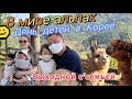 День детей в Корее/в мире альпак/семейные выходные в Корее/Южная Корея VLOG