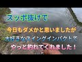 2026.4.28やっと釣れてくれました！宇治川ブラックバス釣り！