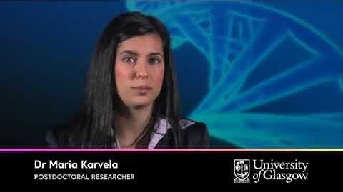 The Cancer Stem Cell Hypothesis and The Clonal Evolution Model