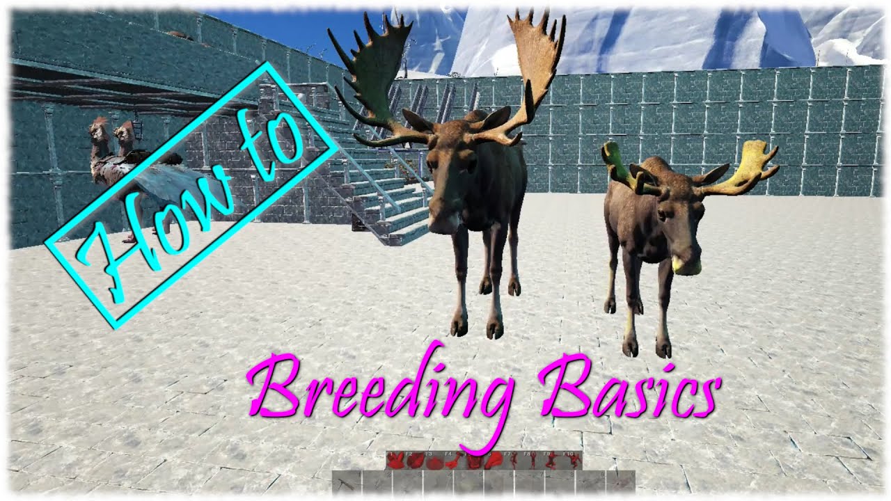 Atlas Tutorial ! Breeding Grundlagen ! Wie funktioniert das züchten ? Radioactive Atlas