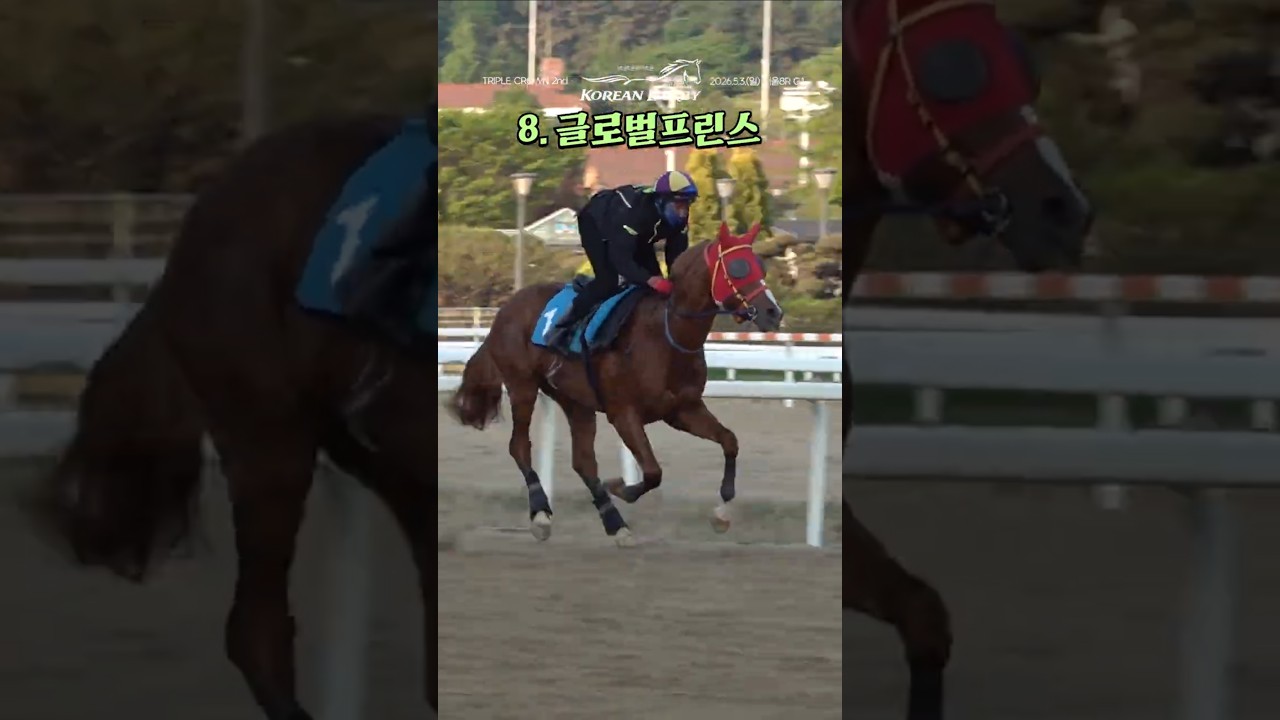 8.[부]글로벌프린스 #코리안더비 #트리플크라운
