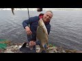 Рыбалка на Даугаве в мае / Латвия,Кремери 4К