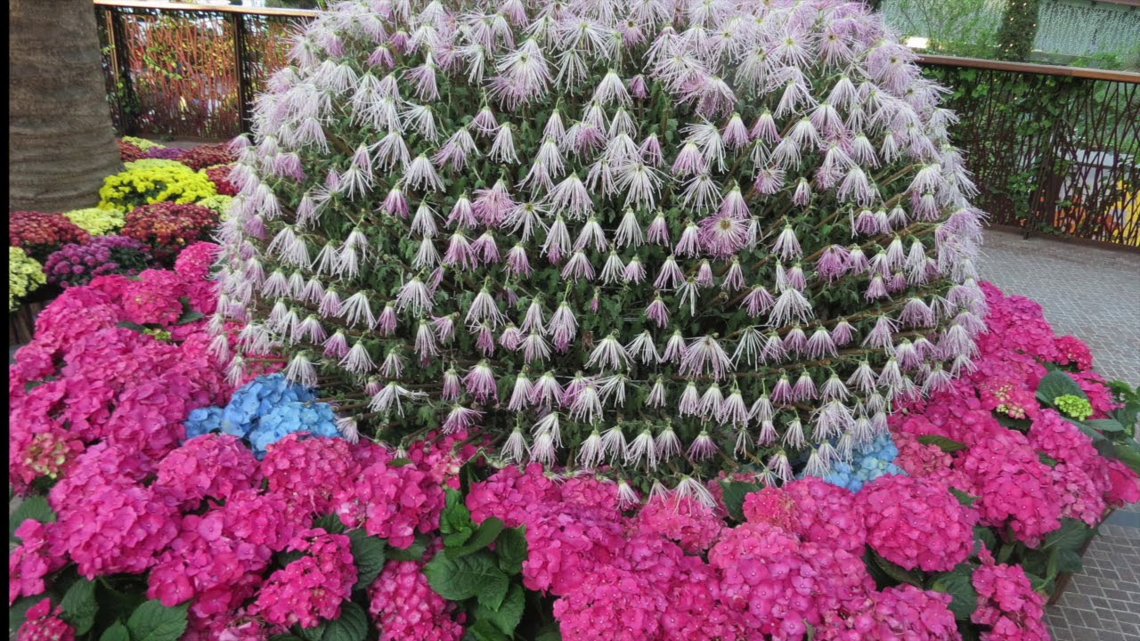 Singapore Gardens by the bay 2018