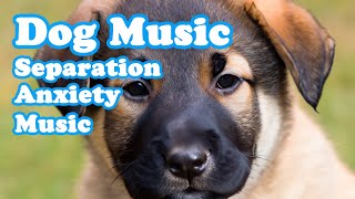 Dog Music to go to sleep💖🐶Please let your dog hear it when you go out.