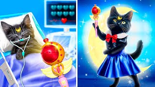 Save This Tiny Cat! Secret Hacks for Pet Owners! Sailor Moon in Real Life