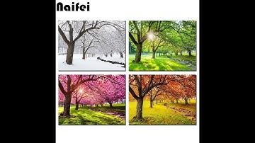 The Weather and Its Effects