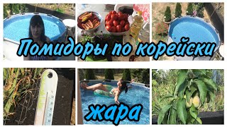 ВЛОГ🍅Помидоры по корейски🏠Отпуск на стройке😃