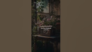 هدوء الشيخ عبدالباسط 📻🍃       #هدوء #القران الكريم #ترتيل #عبدالباسط عبدالصمد #الشيخ عبدالباسط عبد