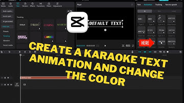 How To Create a Karaoke Text Animation and Change the Color on CapCut PC (2024) | Step-by-Step Guide