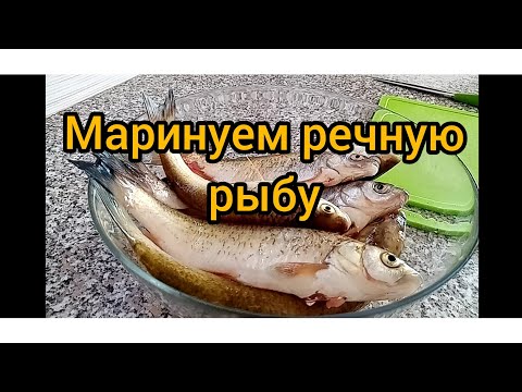 Маринад для речной рыбы в домашних условиях