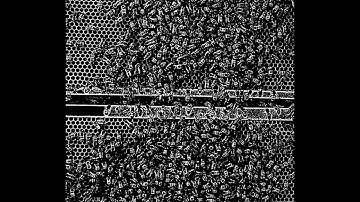 Adaptive thresholding of hive #1