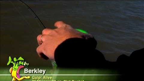 How To: Berkley Gulp Alive