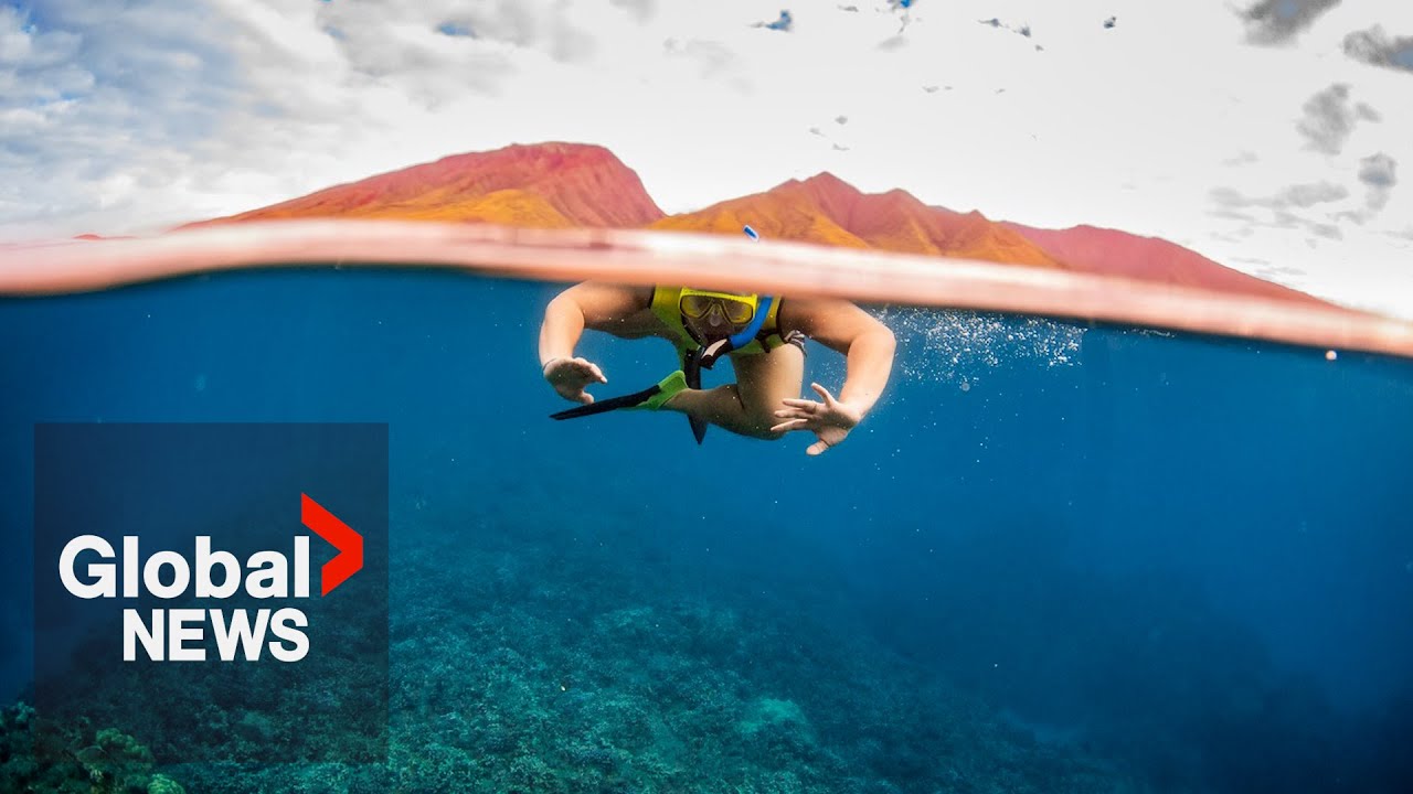 Humpback whale tales: Exploring Maui’s marine life