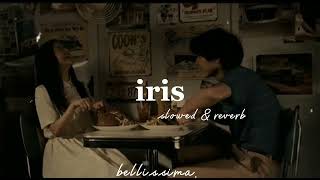 iris - {slowed + reverb} Resimi