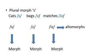 Lexical Studies BS VI: Morph, Morpheme and Allomorph