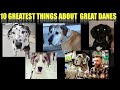 10 GREATEST THINGS ABOUT GREAT DANES