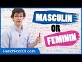 Gender of French Words: Masculin vs Feminin