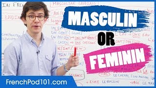 Gender of French Words: Masculin vs Feminin