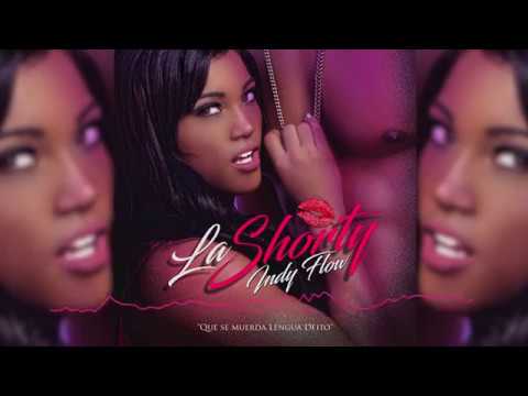 Sanky Panky 3 Movie Song - Indy Flow La Shorty