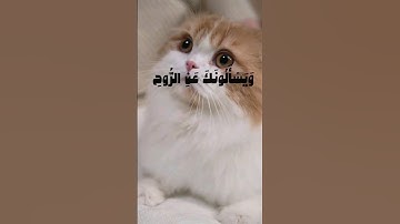 سورة الإسراء 🤍🤍#القرآن_الكريم #راحة_نفسية #fyp