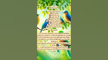 سورة التكاثر #التكاثر.  ألهاكم التكاثر حتى زرتم المقابر