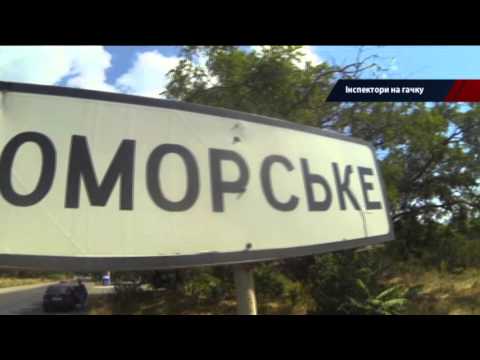 Рыбная мафия зарабатывает бешеные деньги на незаконном вылове - Достало! 21.09