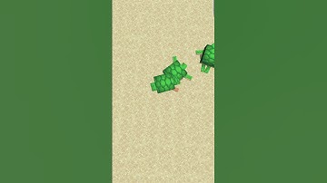 Minecraft Turtle Suit #minecraftmeme