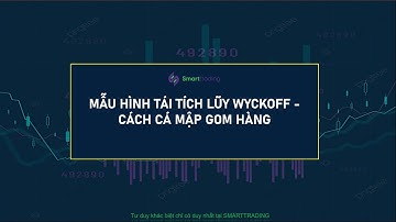VSA - WYCKOFF: MẪU HÌNH TÁI TÍCH LŨY CỦA CỔ PHIẾU