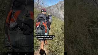 Bushwhacking on the Pacific Crest Trail