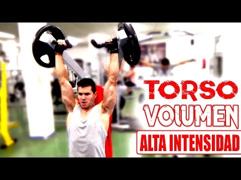 RUTINA AGONISTA-ANTAGONISTA DE TORSO PARA VOLUMEN | ENTRENAMIENTO MÚSCULOS ANTAGONISTAS