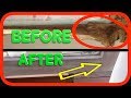 Restoring Window / Wood Rot | Turbo Builders Bog - Wood Filler | How to DIY
