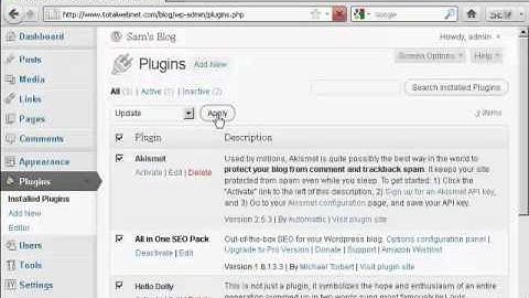 Upgrade or Delete Plugins Automatically in WordPress