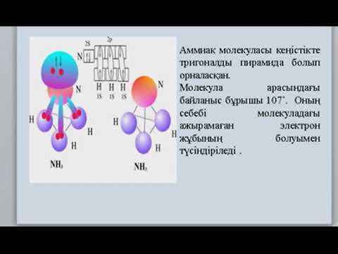 Бейне: Азоттың аму мөлшері қандай?