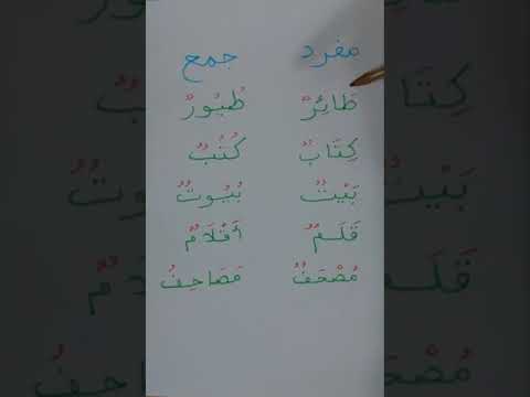 تعلم اللغة العربية بكل سهولة المفرد و الجمع 