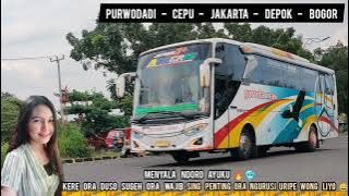TERLARIS DI JALURNYA‼️BUS GARUDA MAS 'AFCERIS' JETBUS SINGLE GLASS ELEGANT MBOIS,BOGOR-PURWODADI