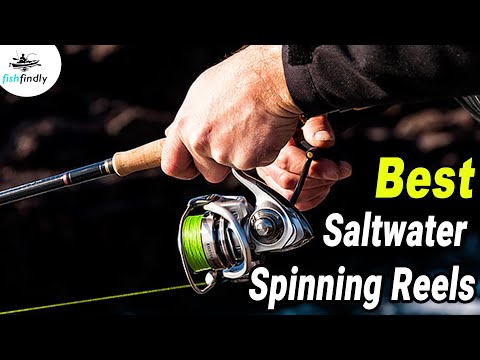 Best Saltwater Spinning Reels In 2020 – Get The Best Suggestion