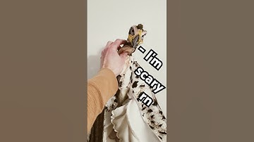 Inside out hawk plushie Custom #furry #customplush #handmadeplush #furries