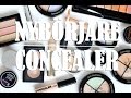 NYBÖRJARE/concealer - DEL 1 Vilken till vad? Neutralicerande och borstar.