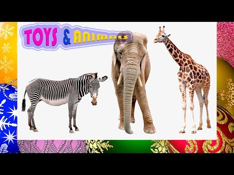 CARTOON MAGICAL TRANSFORMATION Christmas balls Animals toy Wild animals colours and names in English