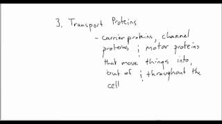 U2 L4 Video Part 1 (of 5)