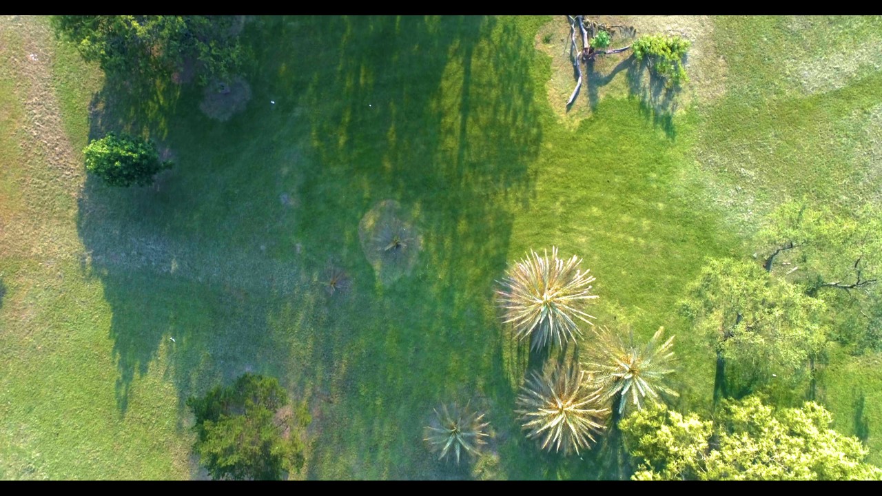 Birds eye view YouTube
