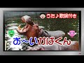 【ぽんちゃんのうた♪】ひらけポンキッキ『お~いかばくん』を歌ってみたよ♪